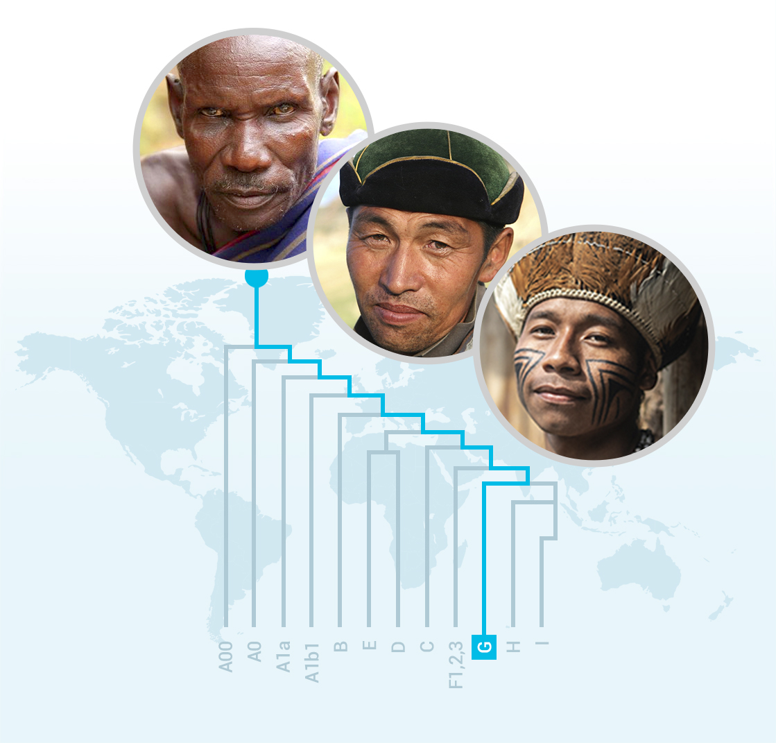 Comment retracer ses origines ancestrales avec un test ADN ? - Eupedia